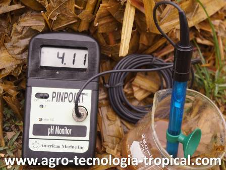 pH=4 indica un buen ensilaje